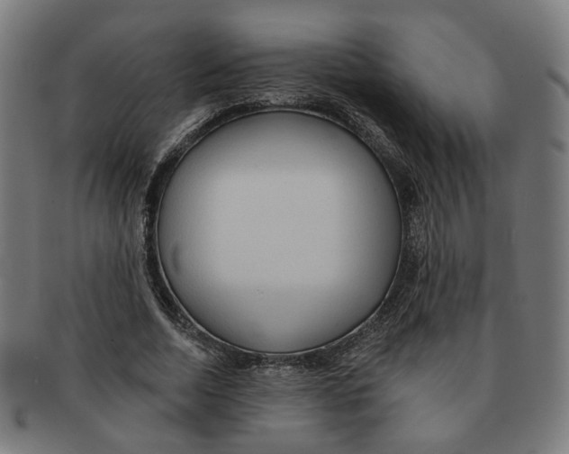X0000090980730200708301248