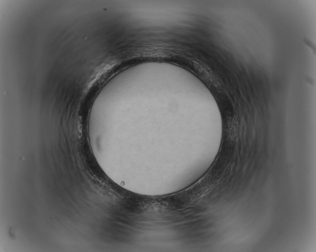 X0000090980731200708301248