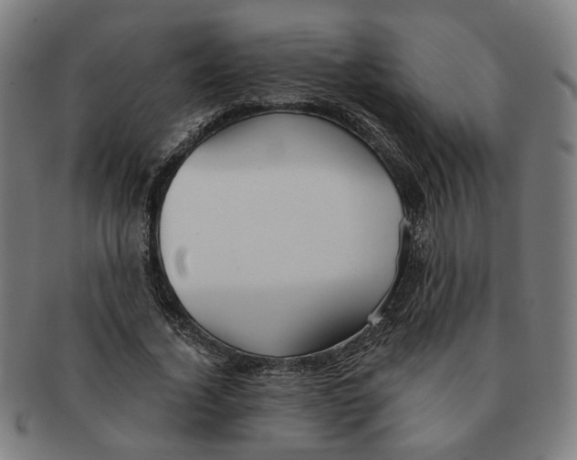 X0000090980732200708301248