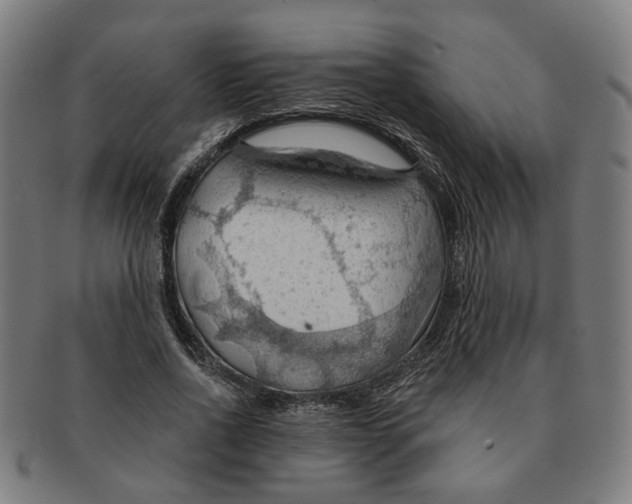 X0000090980734200708301248
