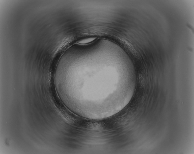 X0000090980735200708301248