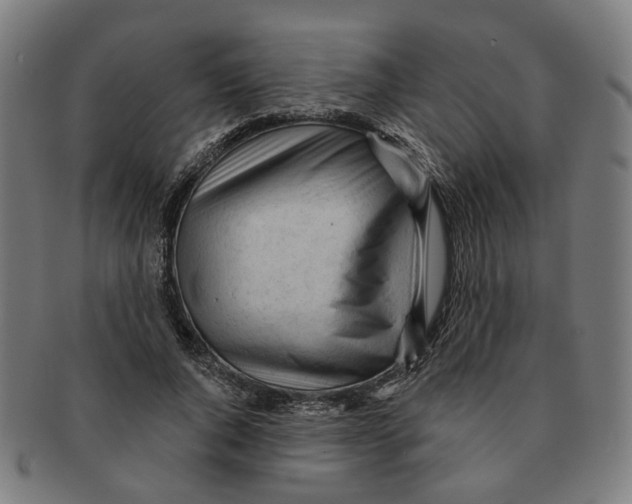 X0000090980736200708301248