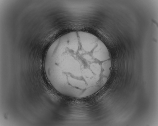 X0000090980737200708301248