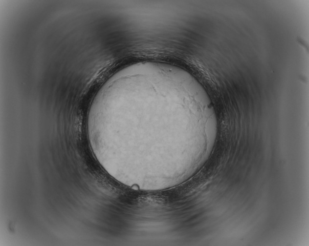 X0000090980739200708301248