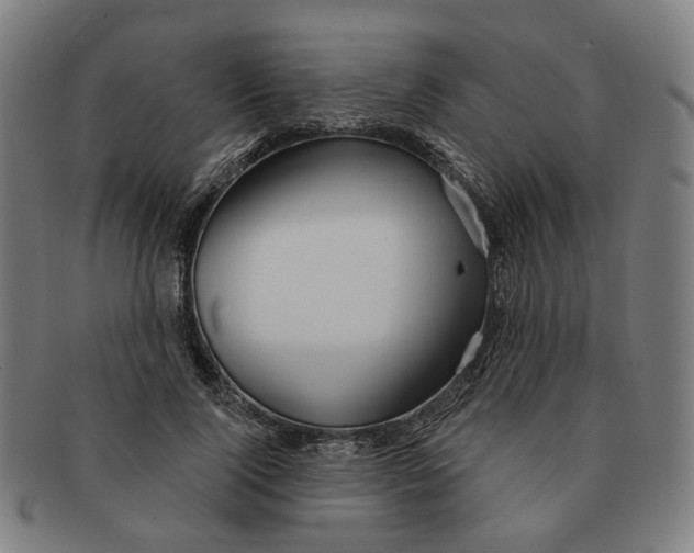 X0000090980740200708301248
