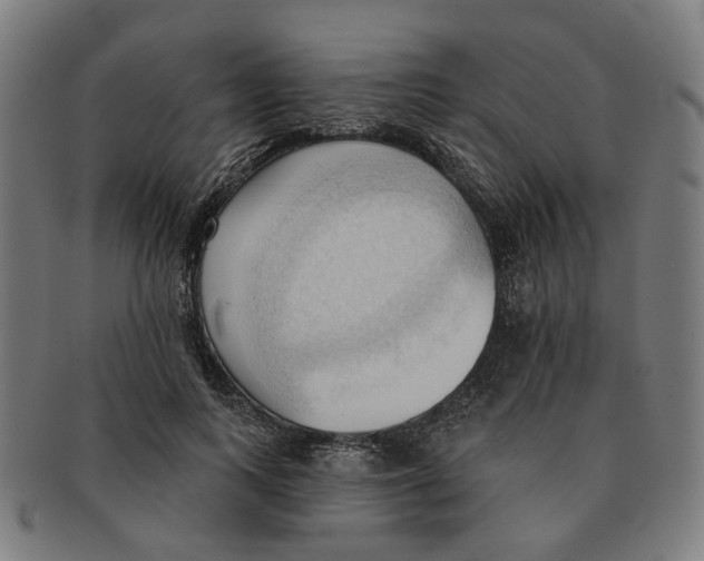 X0000090980743200708301248