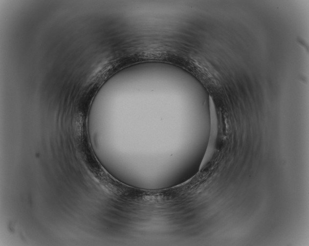 X0000090980744200708301248