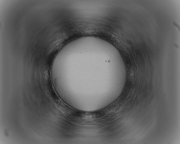 X0000090980746200708301248