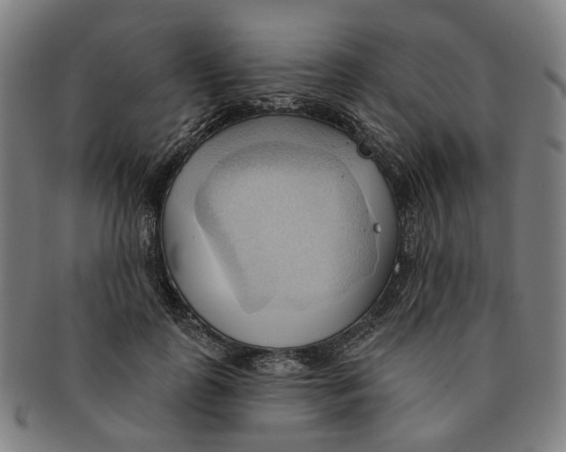 X0000090980747200708301248