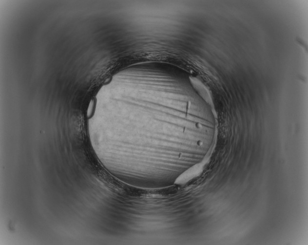 X0000090980748200708301248