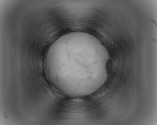 X0000090980749200708301248