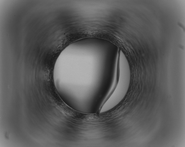 X0000090980750200708301248