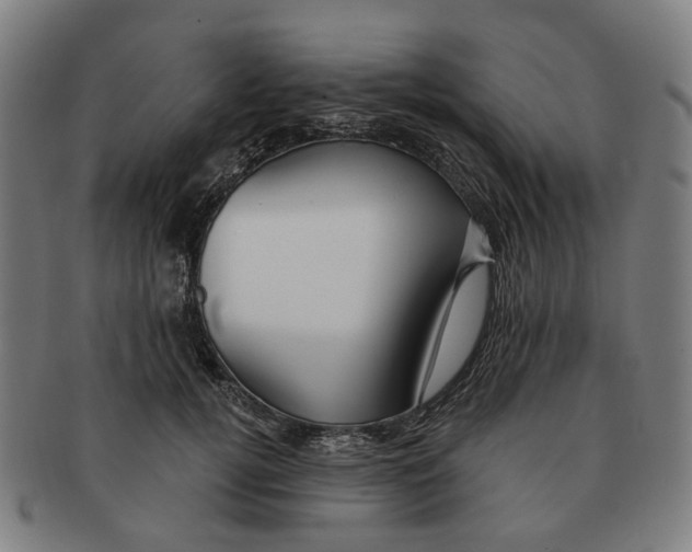 X0000090980752200708301248