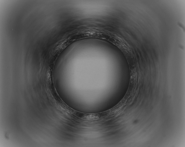 X0000090980754200708301249
