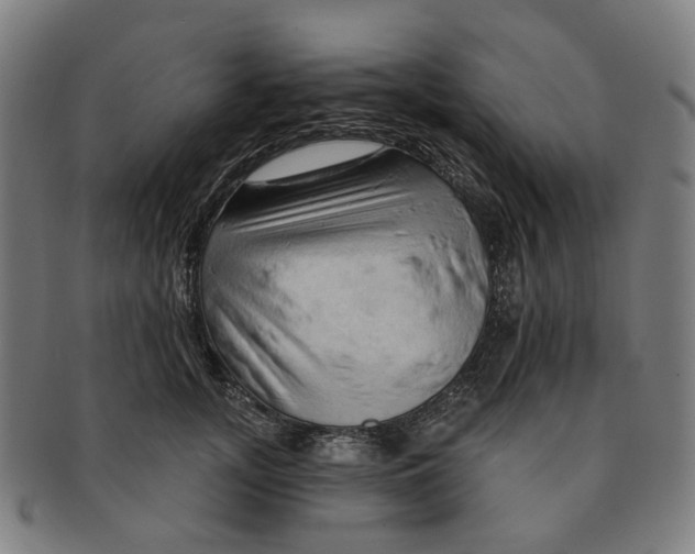 X0000090980755200708301249