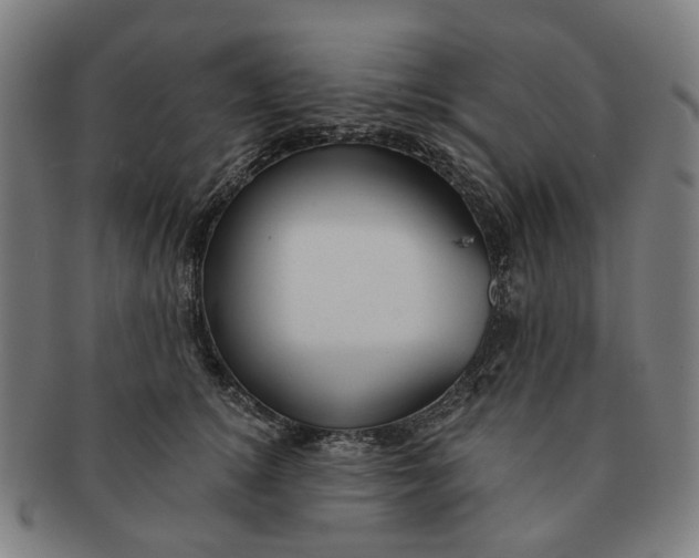X0000090980756200708301249