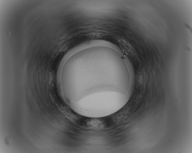 X0000090980759200708301249