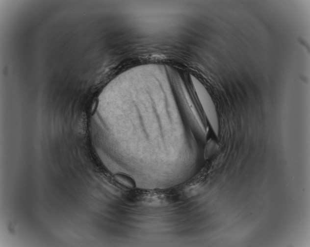 X0000090980760200708301249