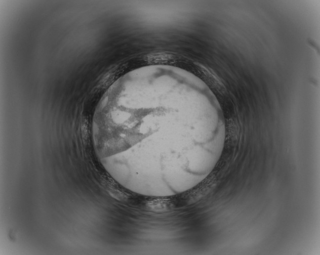 X0000090980761200708301249