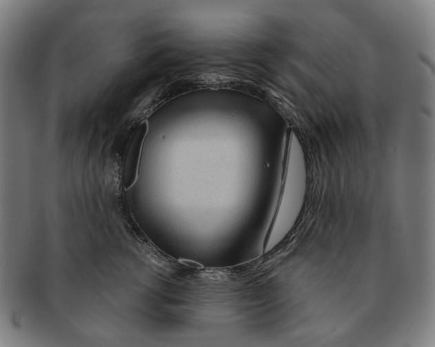 X0000090980762200708301249