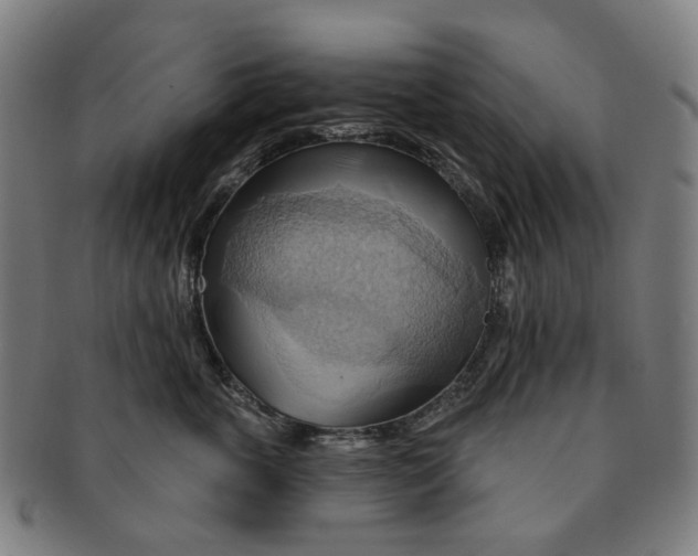 X0000090980763200708301249