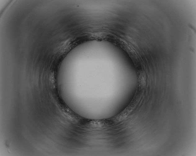 X0000090980764200708301249