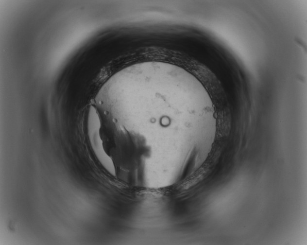 X0000090980765200708301249