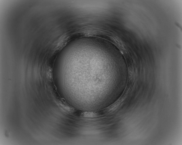 X0000090980766200708301249