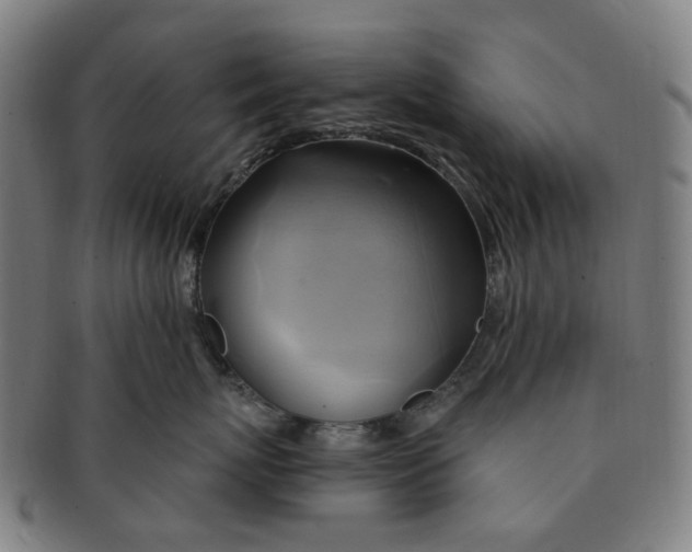 X0000090980767200708301249