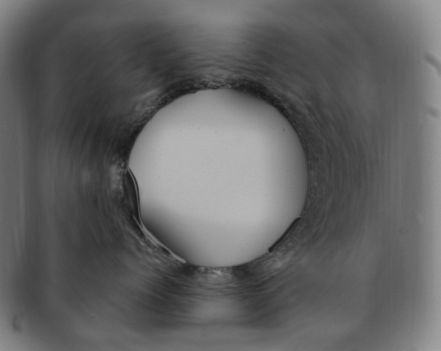 X0000090980768200708301249