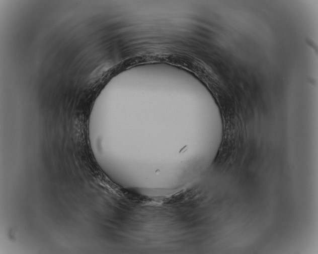 X0000090980773200708301248