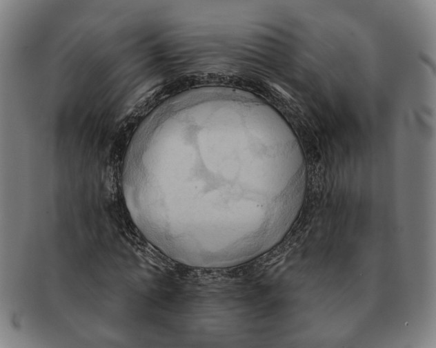 X0000090980774200708301248