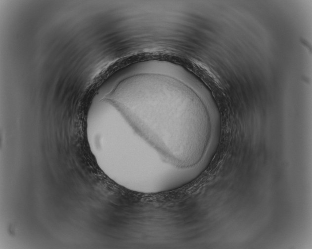 X0000090980776200708301248