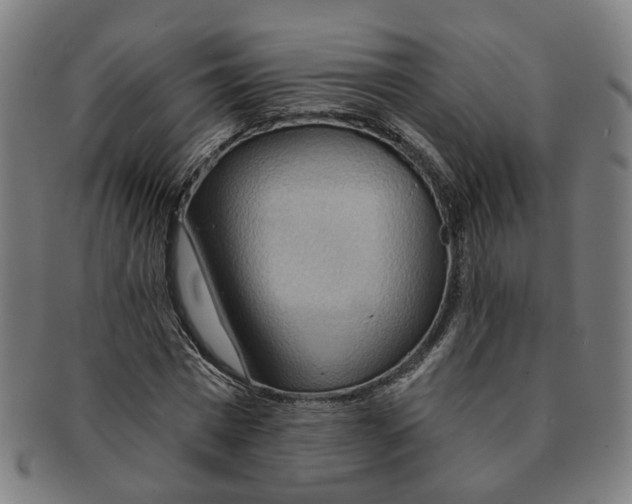 X0000090980777200708301248