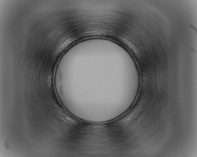 X0000090980778200708301248