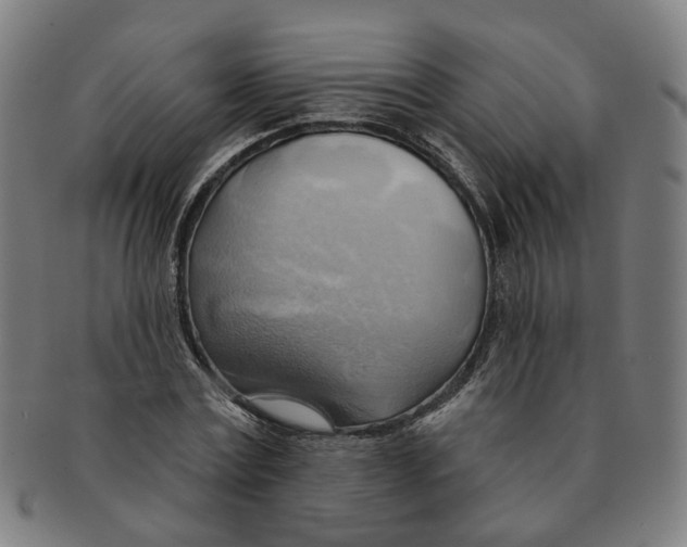 X0000090980779200708301248