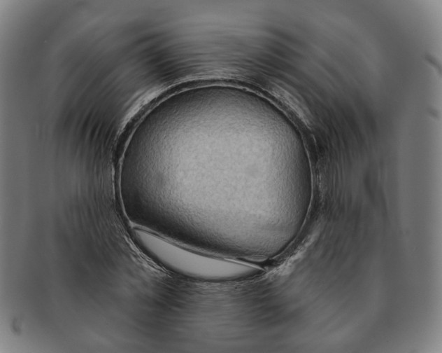 X0000090980781200708301248