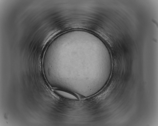 X0000090980782200708301248