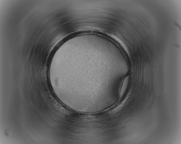 X0000090980783200708301248