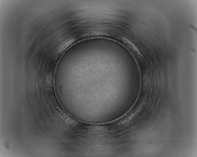 X0000090980785200708301248