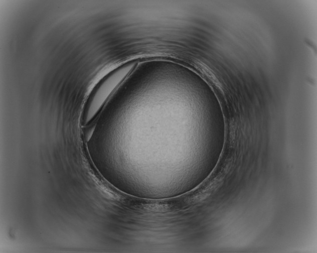 X0000090980789200708301248