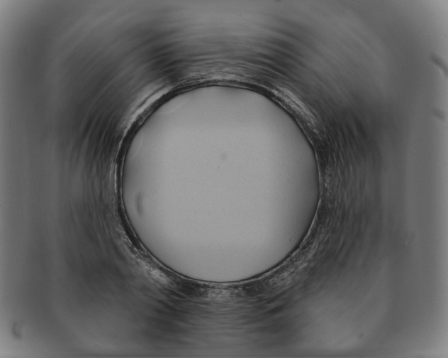 X0000090980790200708301248