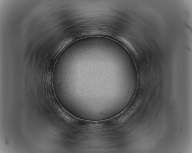 X0000090980793200708301248