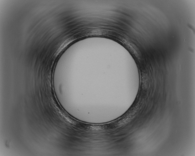 X0000090980794200708301248
