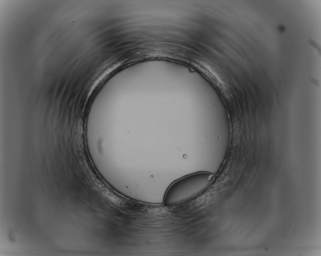 X0000090980798200708301247