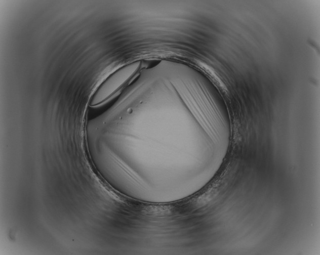 X0000090980802200708301247