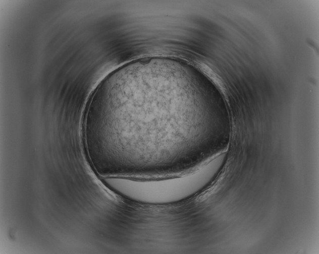 X0000090980803200708301247
