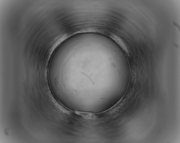 X0000090980805200708301247