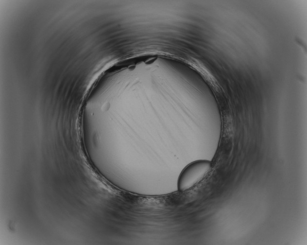X0000090980806200708301247