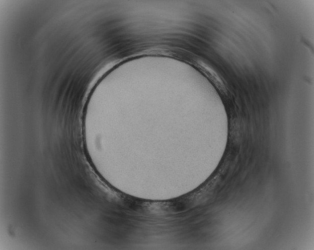 X0000090980808200708301247